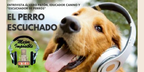 MEJOR IMPOSIBLE: «El Perro Escuchado»