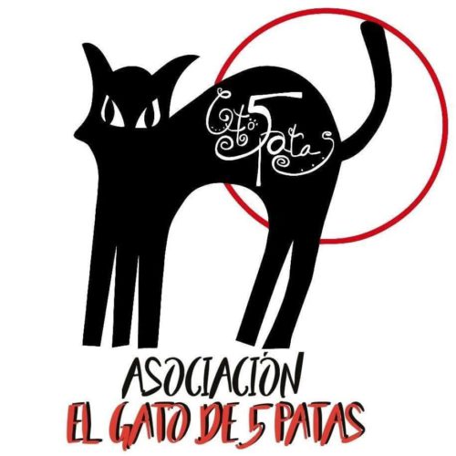 El Hilo Violeta: Asociación El Gato de 5 Patas, Ocio y Diversidad Funcional