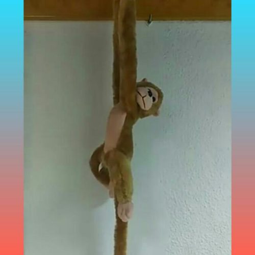 #JóvenesSinAntena